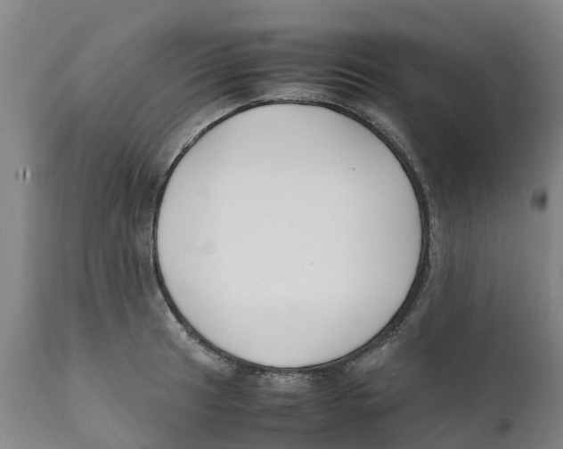 X0000111631041200908141338