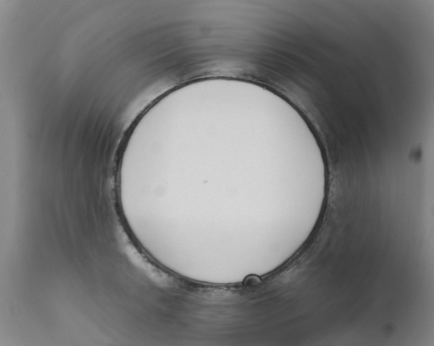 X0000111631042200908141338