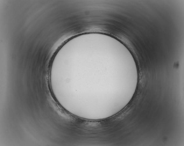 X0000111631043200908141338