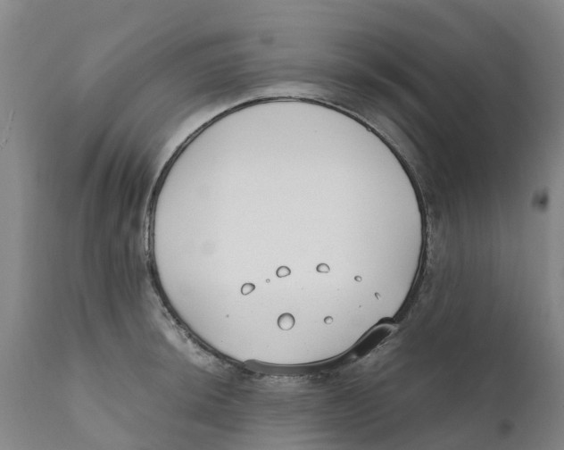 X0000111631044200908141338