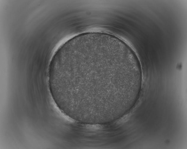 X0000111631045200908141338