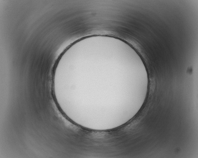 X0000111631046200908141338