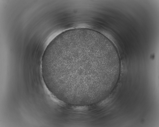 X0000111631047200908141338