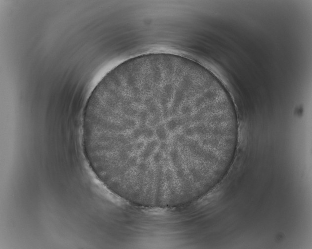 X0000111631048200908141338