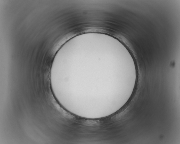 X0000111631049200908141338