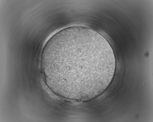 X0000111631052200908141338