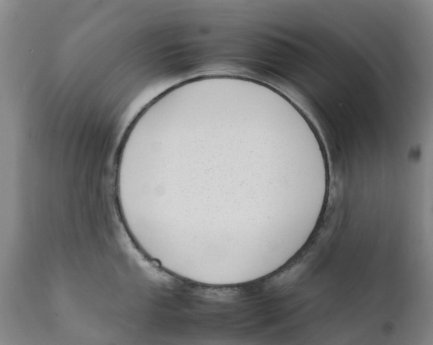 X0000111631053200908141338