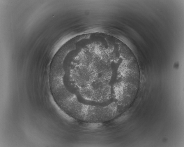 X0000111631055200908141338