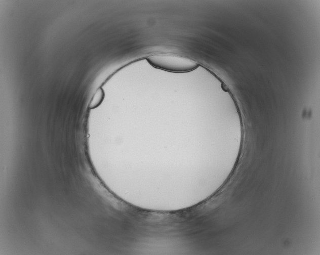 X0000111631056200908141338