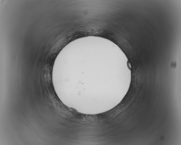 X0000111631058200908141338