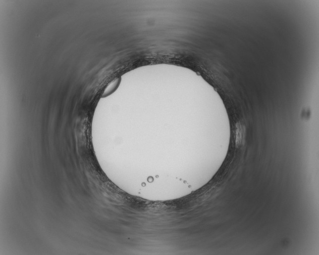 X0000111631059200908141338