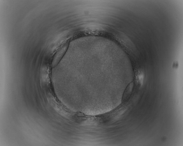 X0000111631060200908141338