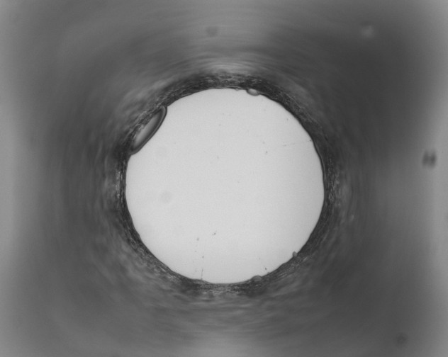 X0000111631061200908141338