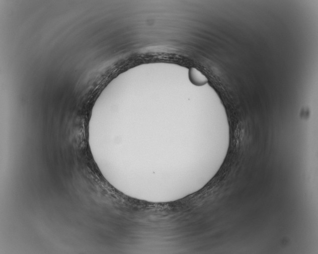 X0000111631062200908141338