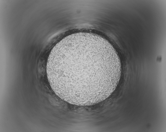 X0000111631063200908141338