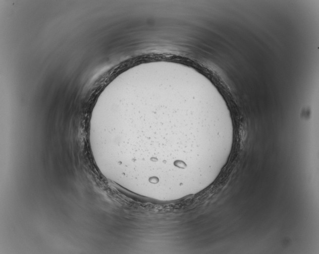 X0000111631064200908141338