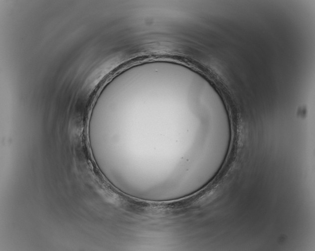 X0000111631065200908141338