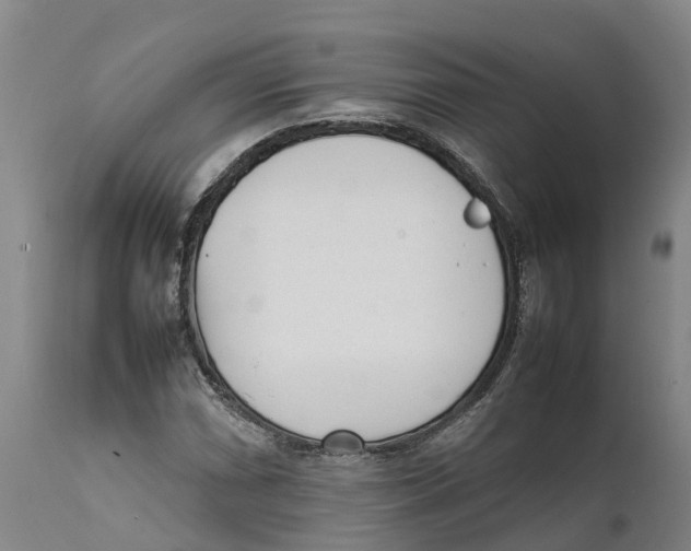 X0000111631066200908141338