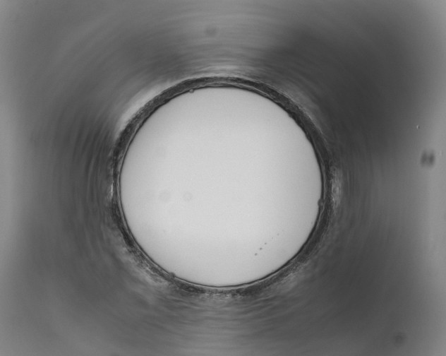 X0000111631069200908141337
