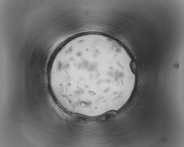 X0000111631072200908141337