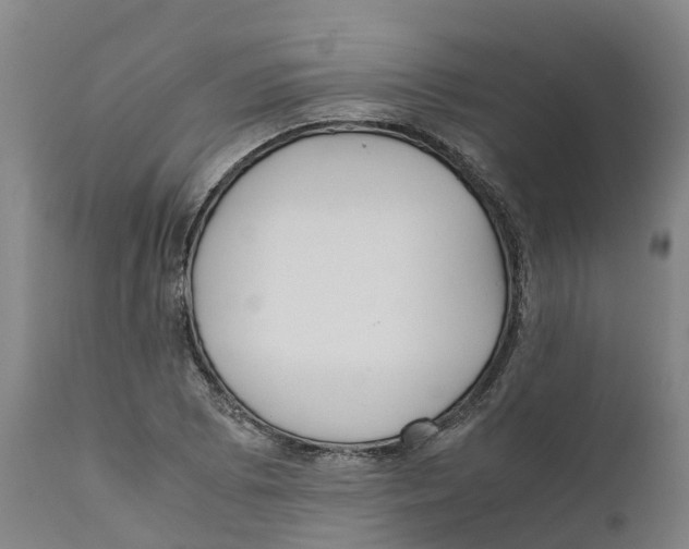 X0000111631073200908141337