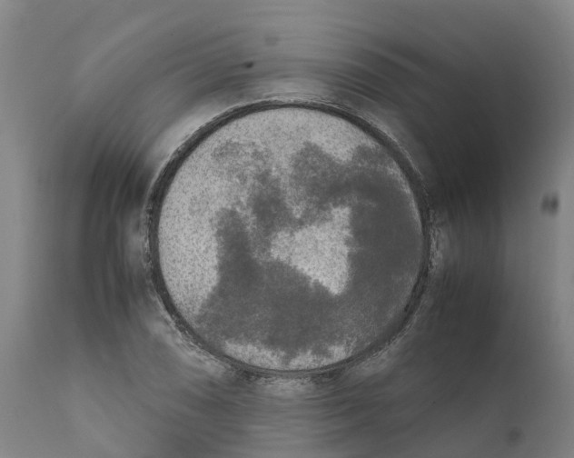 X0000111631074200908141337