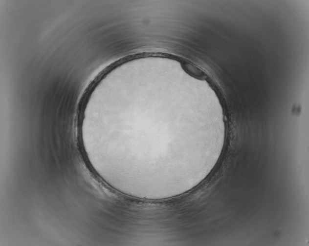 X0000111631076200908141337