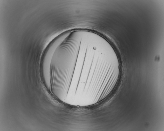 X0000111631077200908141337