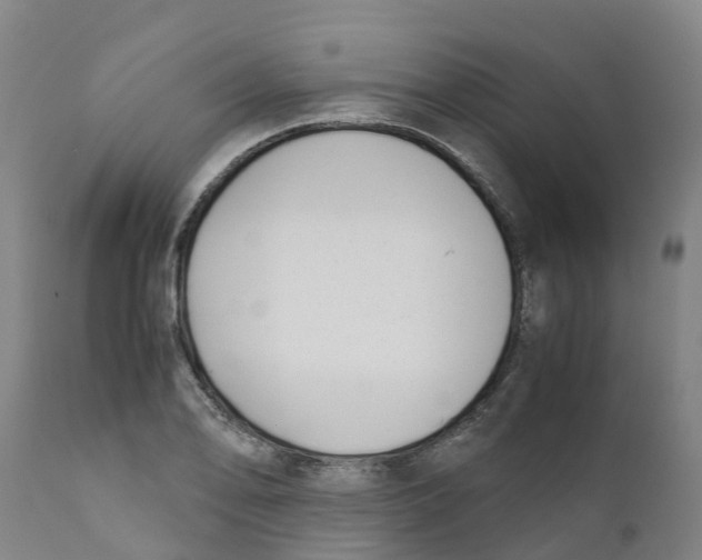 X0000111631078200908141337