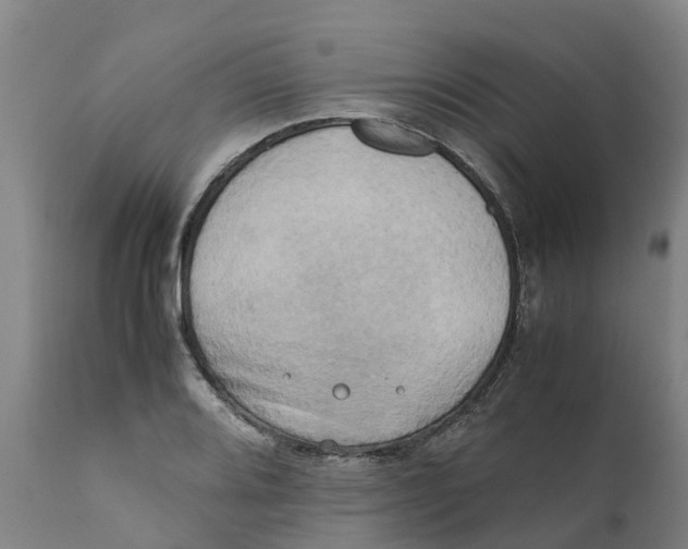 X0000111631080200908141337