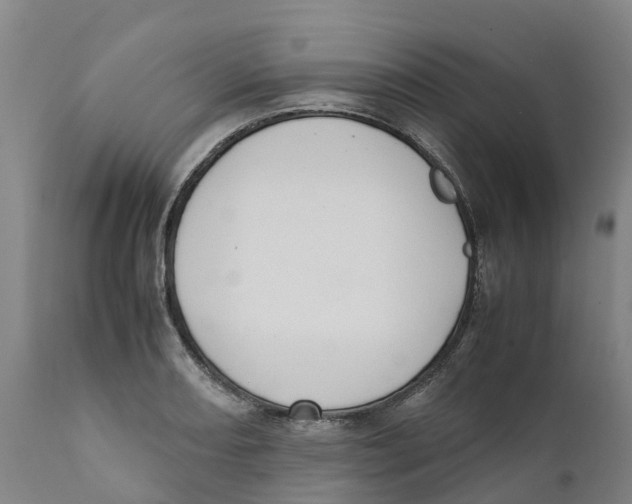 X0000111631082200908141337