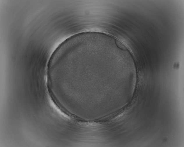 X0000111631084200908141337