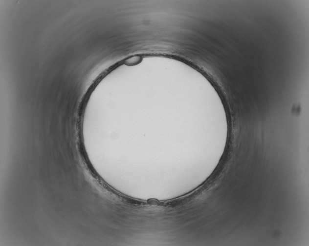 X0000111631085200908141337