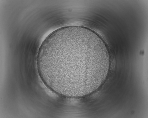 X0000111631086200908141337