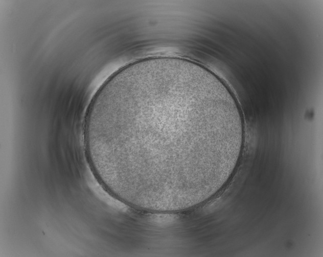 X0000111631090200908141337