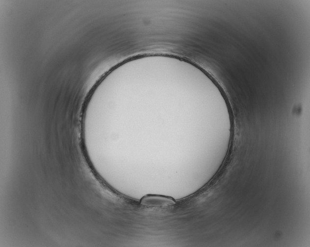 X0000111631093200908141337