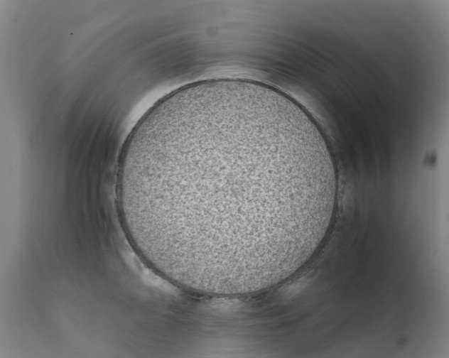 X0000111631094200908141337
