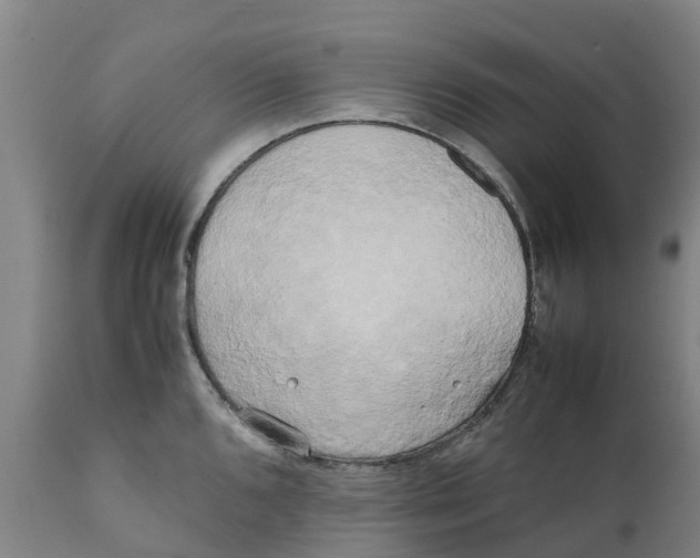 X0000111631096200908141337