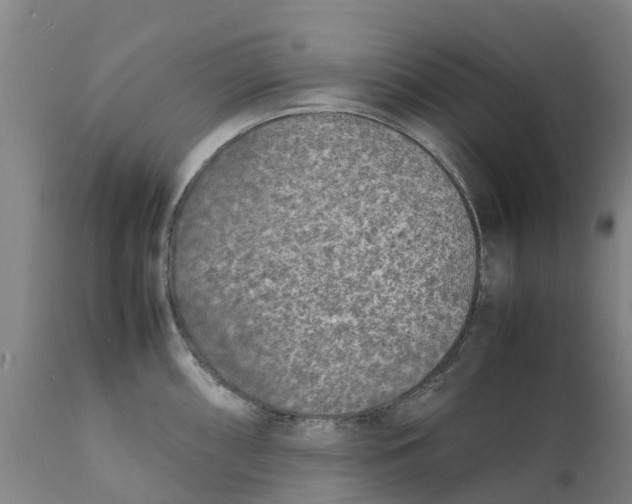 X0000111631098200908141337