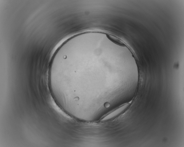 X0000111631100200908141337