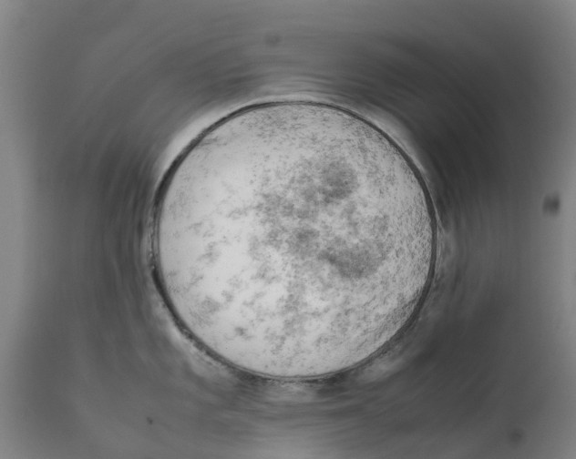 X0000111631101200908141337