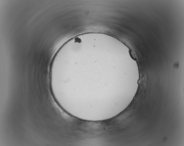 X0000111631103200908141337