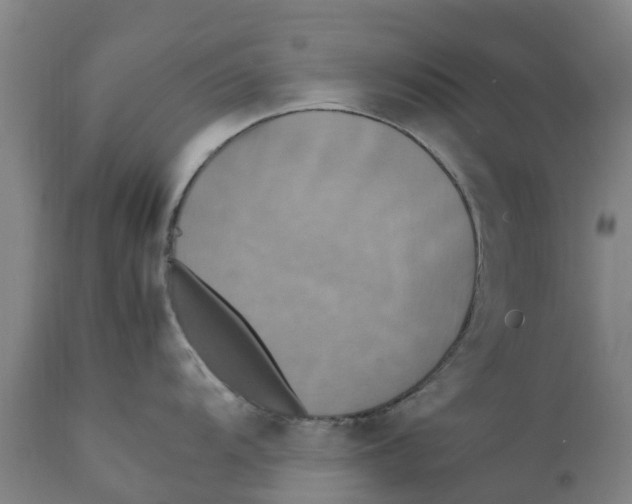 X0000111631104200908141337