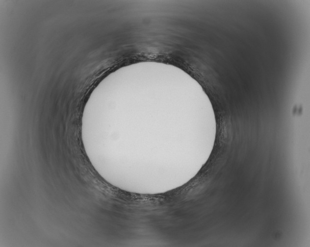 X0000111631105200908141336