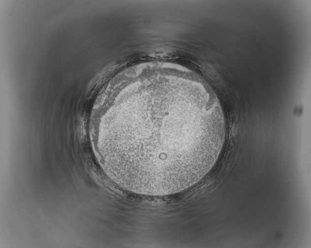 X0000111631106200908141336