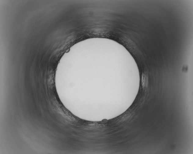 X0000111631107200908141336