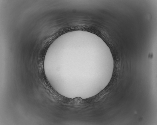 X0000111631109200908141336