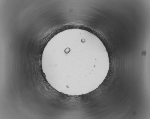 X0000111631110200908141336