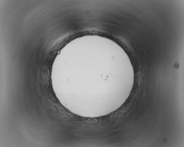 X0000111631111200908141336
