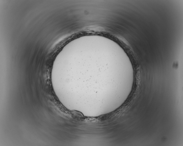 X0000111631112200908141336